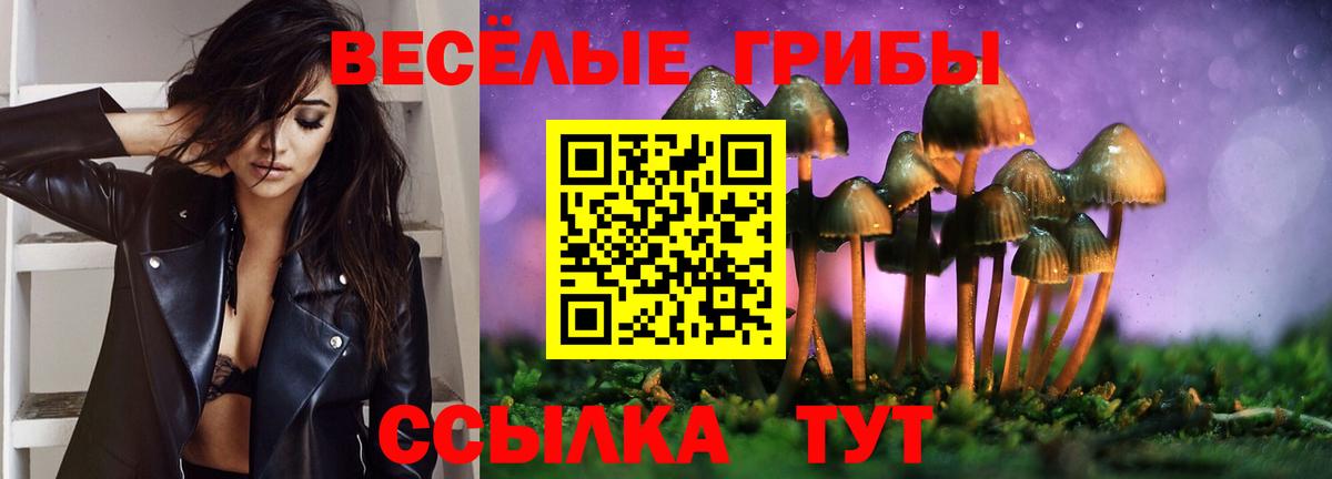 Зерноград  Псилоцибиновые грибы GOLDEN TEACHER  Вход с VPN 